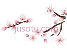 春花, PNG