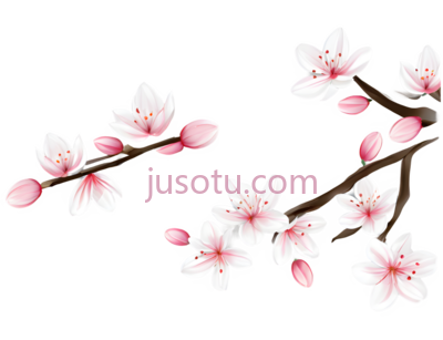 春花, PNG