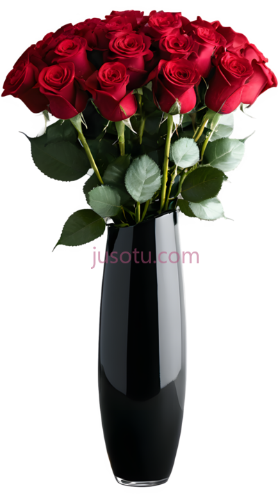 玫瑰花,红色, PNG