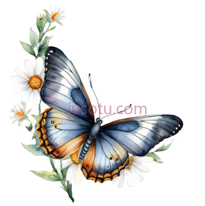 蝴蝶,插画,蓝色,橙色,白色, PNG