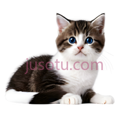 小猫,卡通,白色,黑色,棕色PNG