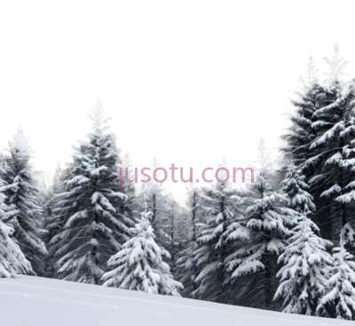 雪松,自然风光,白色, PNG
