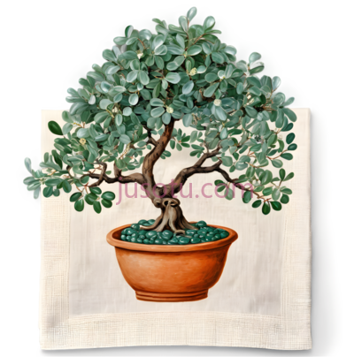 盆景,插画,绿色,棕色, PNG