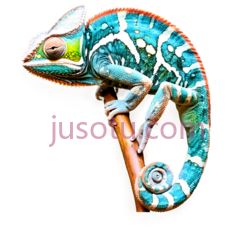 变色龙,卡通,蓝色,白色PNG