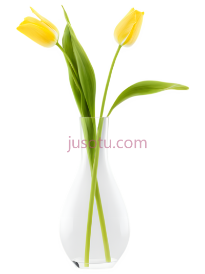 花瓶,室内, PNG