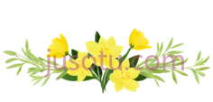 春花,黄色, PNG