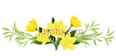 春花,黄色, PNG