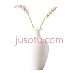 花瓶, PNG