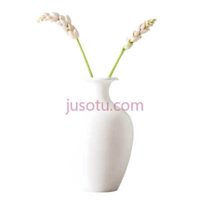 花瓶, PNG