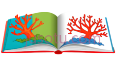 珊瑚,卡通,橙色PNG