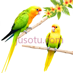 鹦鹉,卡通,绿色,黄色PNG