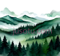 森林,水彩画,绿色,白色PNG