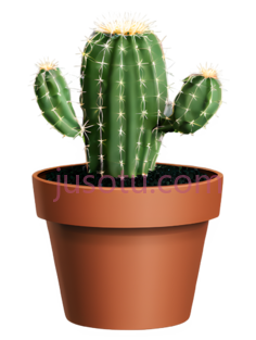 仙人掌,植物, PNG