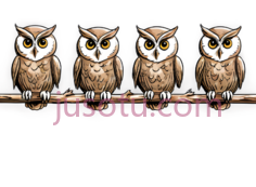 猫头鹰,卡通,棕色,白色PNG