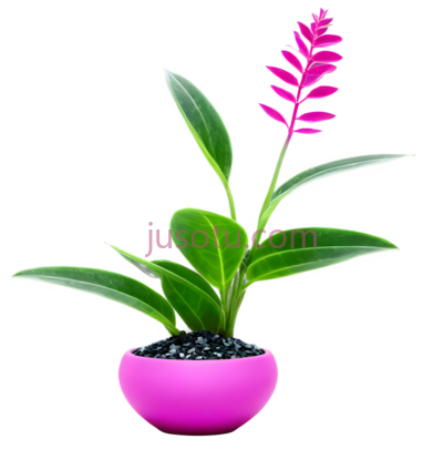 盆栽,现代,粉色, PNG