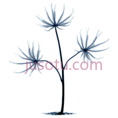 玻璃花,现代,蓝色PNG