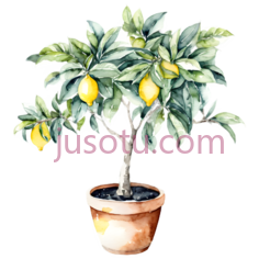 水彩,柠檬树,花盆PNG