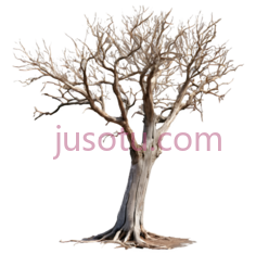 枯树,3D,白色PNG
