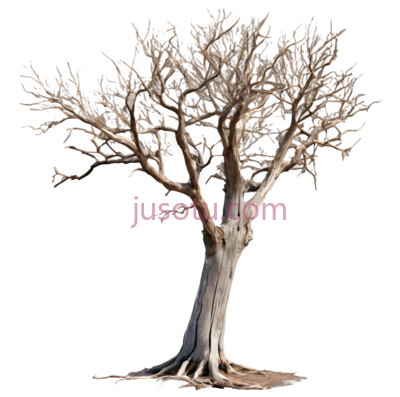 枯树,3D,白色, PNG