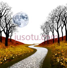月亮, 道路, 树木, 花朵,插画,黑色背景, 白色道路, 黄色花朵PNG