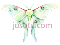 蝴蝶, PNG