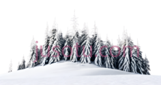 雪松,抽象,白色,红色PNG