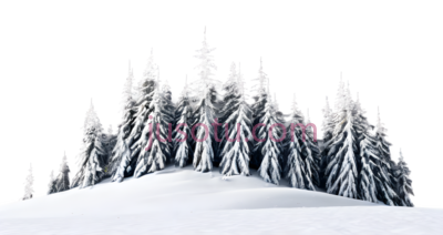 雪松,抽象,白色,红色, PNG