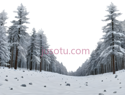 雪松,自然景观,白色,绿色, PNG