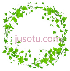 藤蔓,装饰性图案,白色,绿色PNG